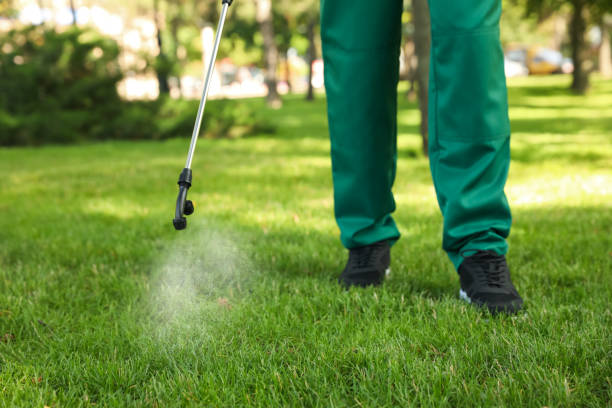 Best Spider Control Near Me  in Kenwood Estates, FL